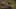 Miniature af spil-screenshot 1
