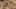 Miniature af spil-screenshot 2