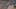 Miniatura de la captura de pantalla del juego 3