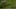 Miniatura de la captura de pantalla del juego 2