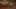 Miniatura de captura de tela do jogo 3