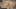Miniatura da captura de ecrã do jogo 1