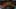 Miniatura de la captura de pantalla del juego 5