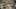 Miniatura de la captura de pantalla del juego 4