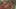 Miniature af spil-screenshot 4