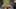 Miniatura de la captura de pantalla del juego 5