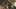 Thumbnail Spiel-Screenshot 2