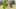 Miniatura de la captura de pantalla del juego 5