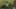Thumbnail Spiel-Screenshot 4
