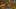 Thumbnail Spiel-Screenshot 3