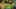 Thumbnail Spiel-Screenshot 5