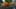 Miniature af spil-screenshot 4