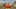 Miniature af spil-screenshot 3