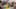 Miniature af spil-screenshot 5