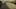 Thumbnail Spiel-Screenshot 3