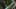 Miniatura de la captura de pantalla del juego 2