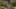 Thumbnail Spiel-Screenshot 2