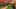 Miniature af spil-screenshot 4