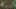 Miniatura de la captura de pantalla del juego 4