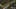 Miniatura de la captura de pantalla del juego 5