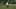 Miniatura da captura de ecrã do jogo 5