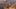 Game screenshot thumbnail 5