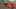 Thumbnail Spiel-Screenshot 2