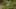 Thumbnail gamescreenshot 5