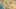Thumbnail Spiel-Screenshot 1