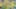 Thumbnail Spiel-Screenshot 2