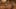 Miniatura de la captura de pantalla del juego 1