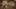 Miniatura de la captura de pantalla del juego 2