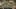 Miniature af spil-screenshot 1