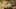 Miniature af spil-screenshot 3