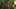 Miniature af spil-screenshot 5