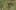 Thumbnail Spiel-Screenshot 1