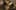 Miniature af spil-screenshot 5