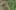 Thumbnail Spiel-Screenshot 5