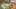 Thumbnail gamescreenshot 3