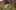 Miniatura de la captura de pantalla del juego 1