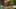 Miniature af spil-screenshot 5
