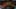 Miniatura de la captura de pantalla del juego 5