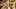 Miniature af spil-screenshot 1