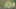 Thumbnail Spiel-Screenshot 1
