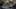 Thumbnail Spiel-Screenshot 5