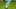 Miniature af spil-screenshot 5