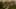 Miniatura de captura de tela do jogo 2
