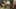 Thumbnail gamescreenshot 1