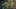 Miniature af spil-screenshot 4