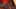 Miniature af spil-screenshot 5